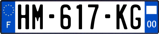 HM-617-KG