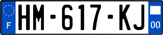 HM-617-KJ