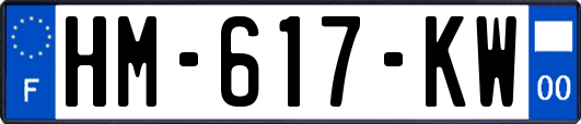 HM-617-KW