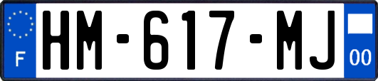 HM-617-MJ