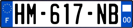 HM-617-NB