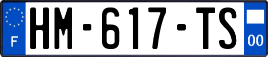 HM-617-TS