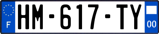 HM-617-TY
