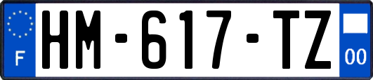 HM-617-TZ