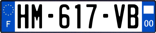 HM-617-VB