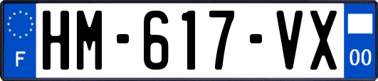 HM-617-VX