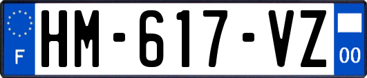 HM-617-VZ