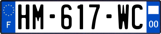 HM-617-WC