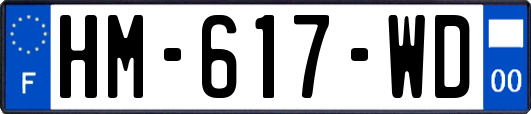 HM-617-WD