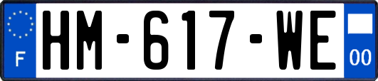 HM-617-WE