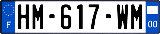 HM-617-WM