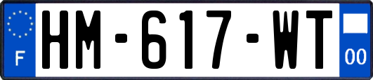 HM-617-WT