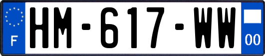 HM-617-WW
