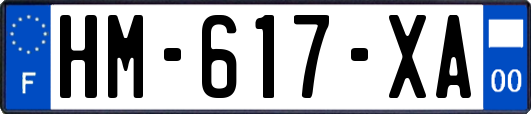 HM-617-XA