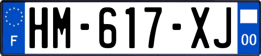 HM-617-XJ
