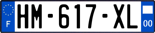 HM-617-XL