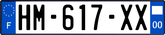 HM-617-XX