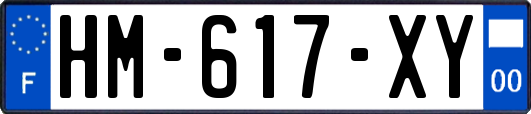 HM-617-XY