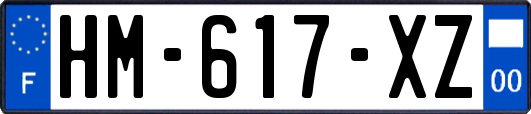HM-617-XZ