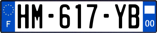 HM-617-YB