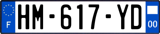 HM-617-YD