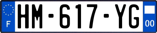 HM-617-YG