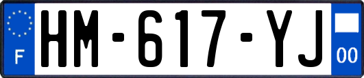 HM-617-YJ