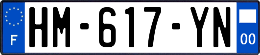 HM-617-YN