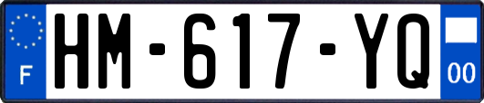 HM-617-YQ