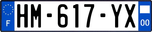HM-617-YX