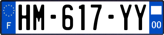HM-617-YY