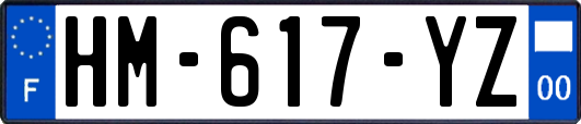 HM-617-YZ