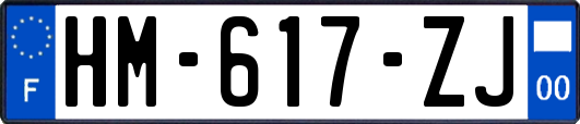HM-617-ZJ