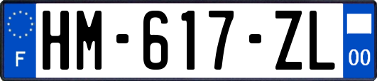 HM-617-ZL