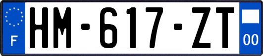 HM-617-ZT