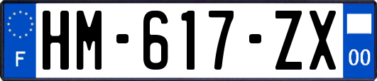 HM-617-ZX
