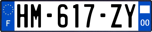 HM-617-ZY