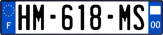 HM-618-MS