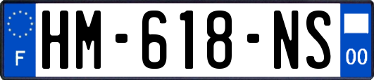 HM-618-NS
