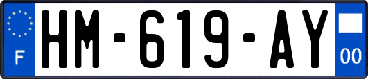 HM-619-AY