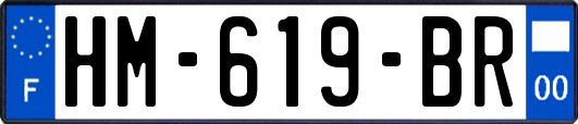 HM-619-BR