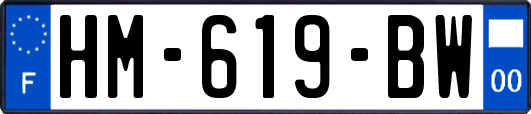 HM-619-BW
