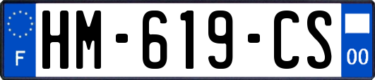 HM-619-CS