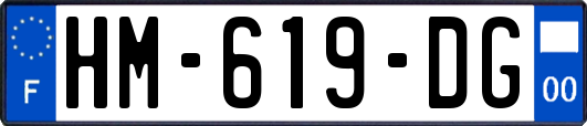 HM-619-DG