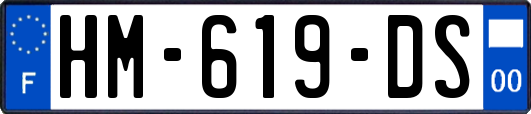 HM-619-DS