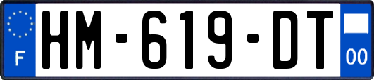 HM-619-DT