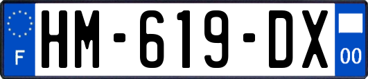 HM-619-DX