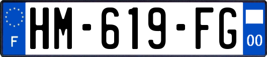 HM-619-FG
