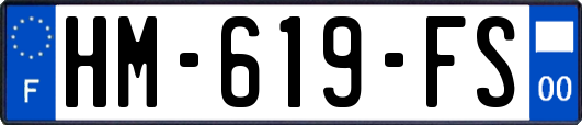 HM-619-FS