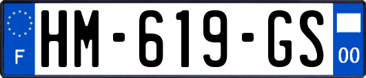 HM-619-GS